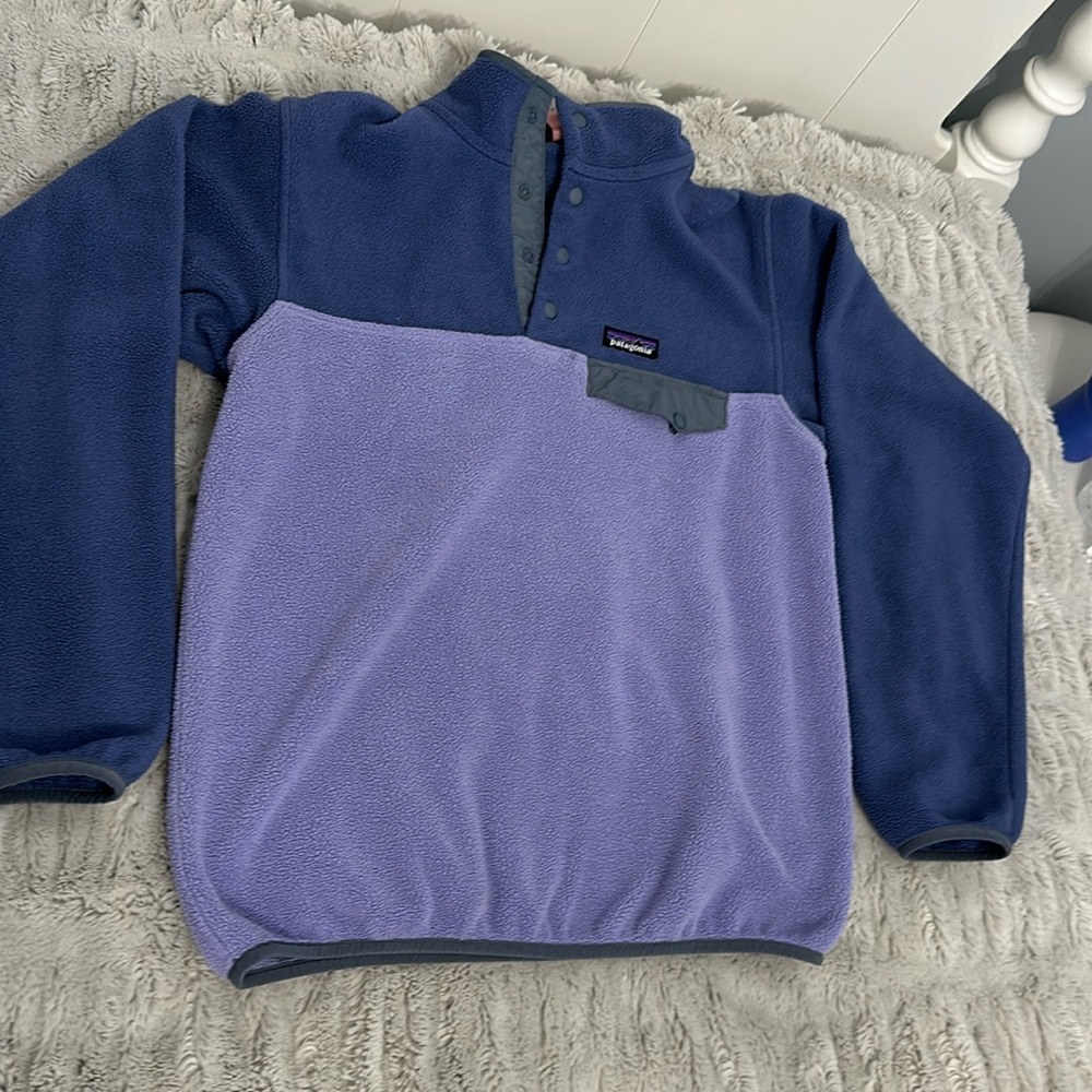 Patagonia Dual Blue Fleece